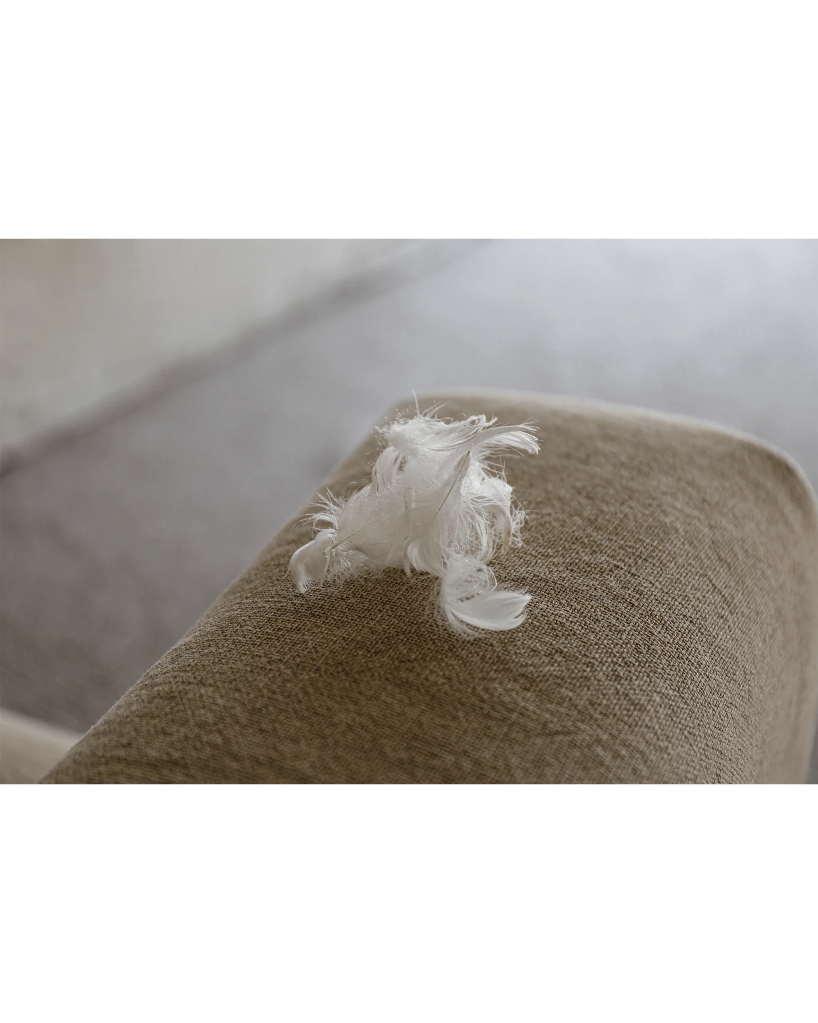 Lea Slipcover Armchair - Image 11